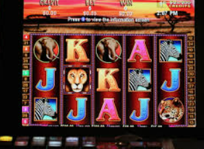 熊猫体育下载最新版